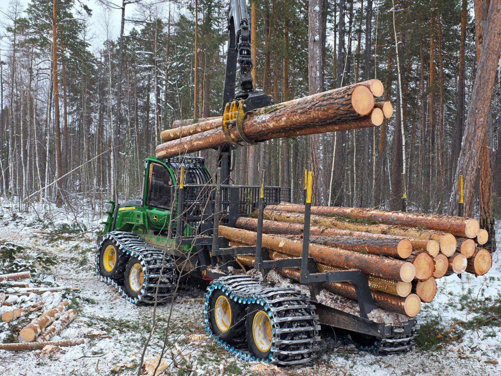 Rückezug lädt frisch geschlagene Lärchenstämme im verschneiten Wald
